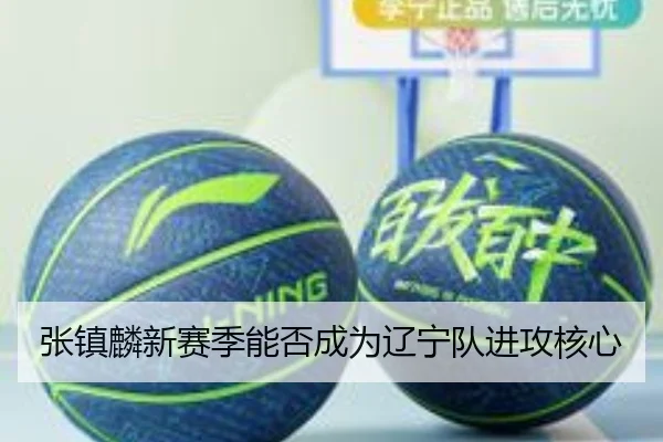 张镇麟新赛季能否成为辽宁队进攻核心